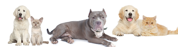 <h2>Do you have a question?</h2>