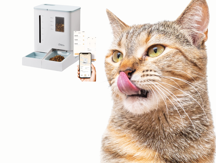 <h1>Smart Pet's</h1>