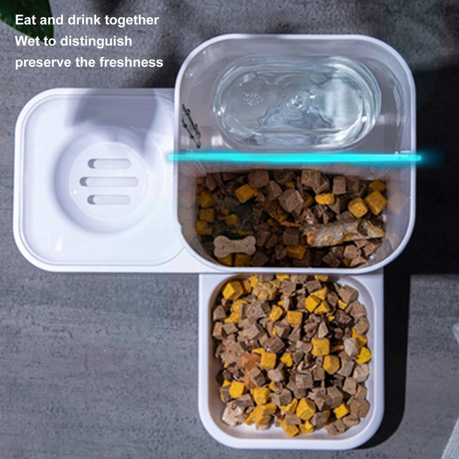Automatic Pet Feeder & Water Dispenser Set – Double Bowl Food Station