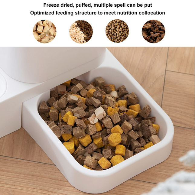 Automatic Pet Feeder & Water Dispenser Set – Double Bowl Food Station